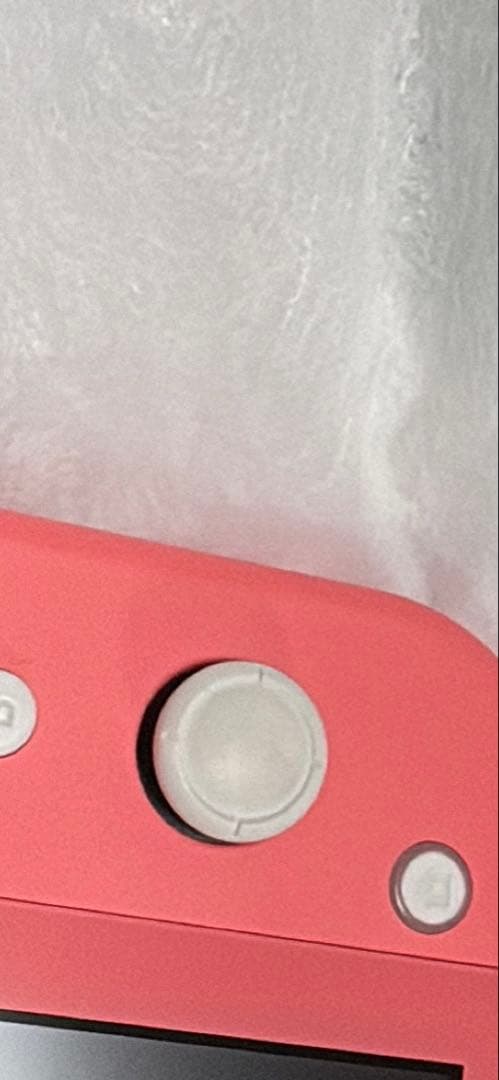 ルビーNintendo Switch Lite コーラル