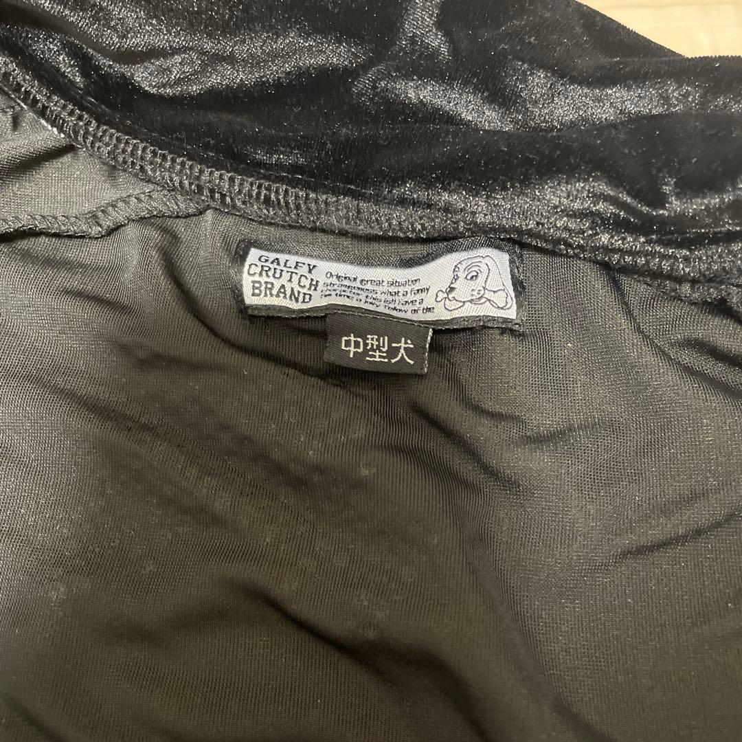 GALFY ガルフィー ピカピカ注射器セットアップ