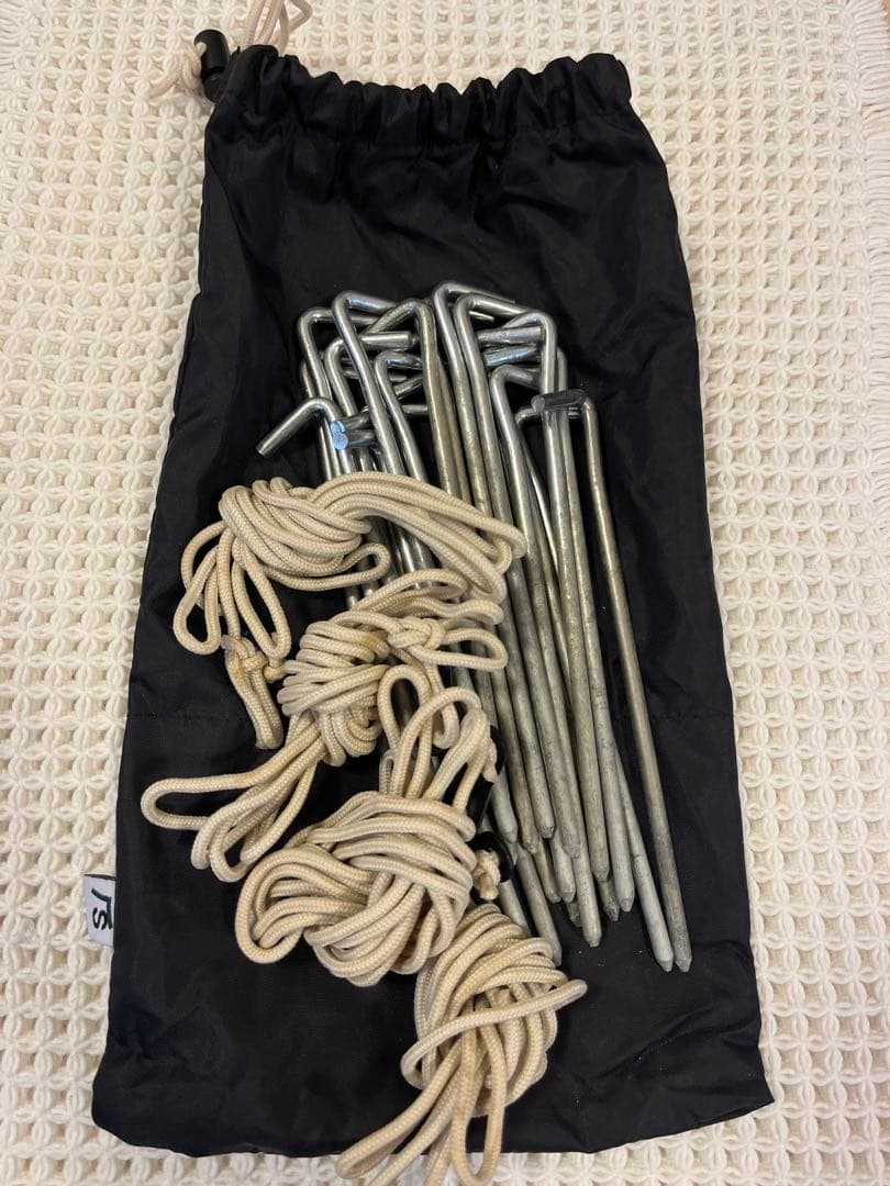 Sabbatical サバティカル　アルニカ