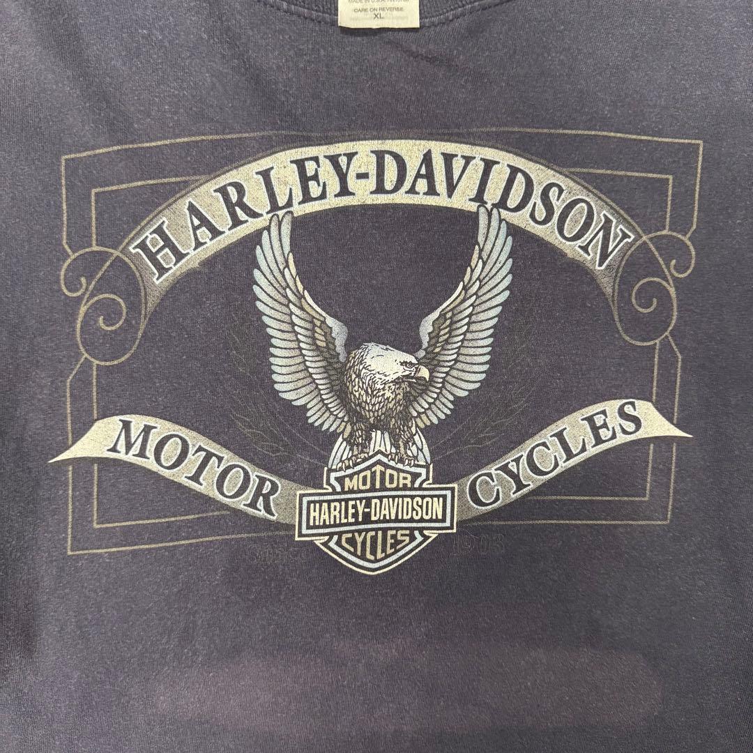 ハーレーダビッドソン ロンT hanes USA製 ネイビー XL 袖プリ