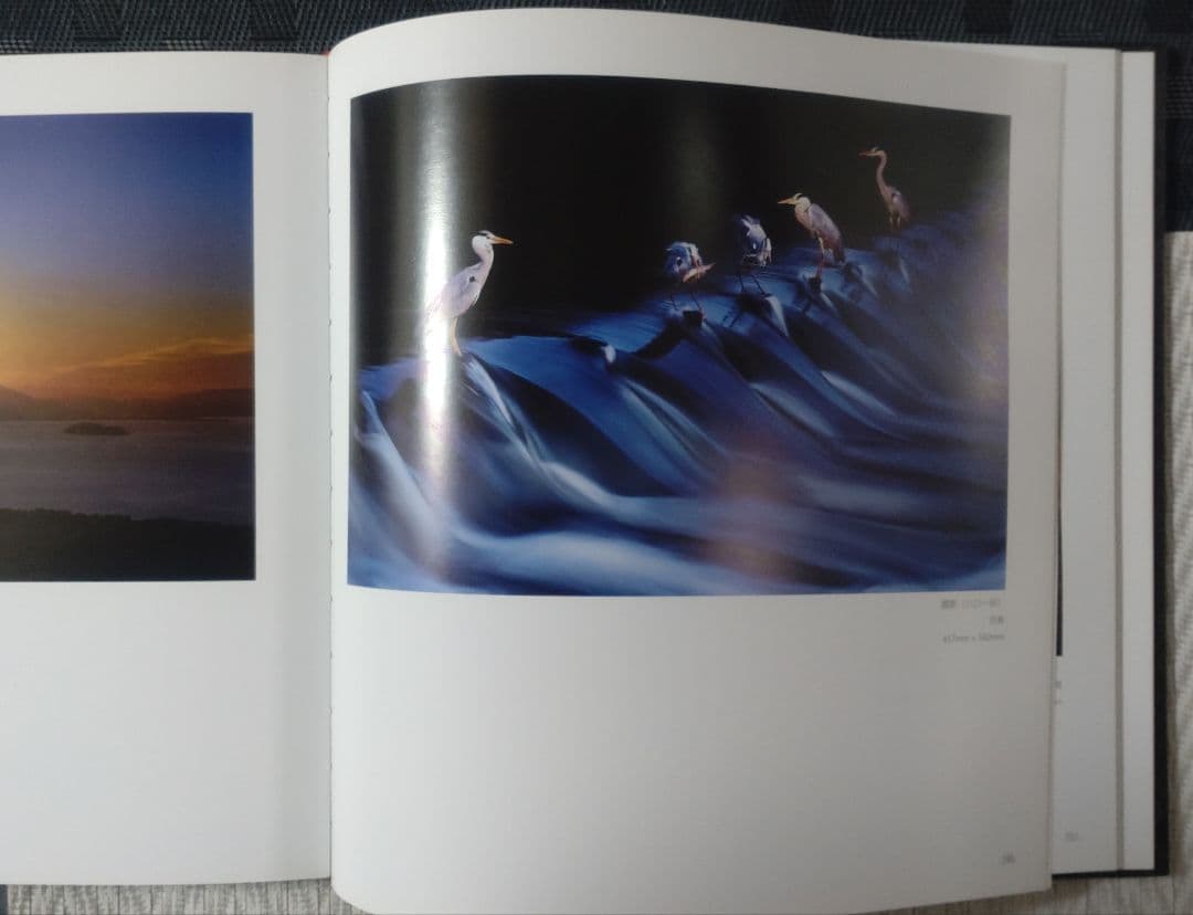 湘滋結好 三十五周年芸術展 作品集