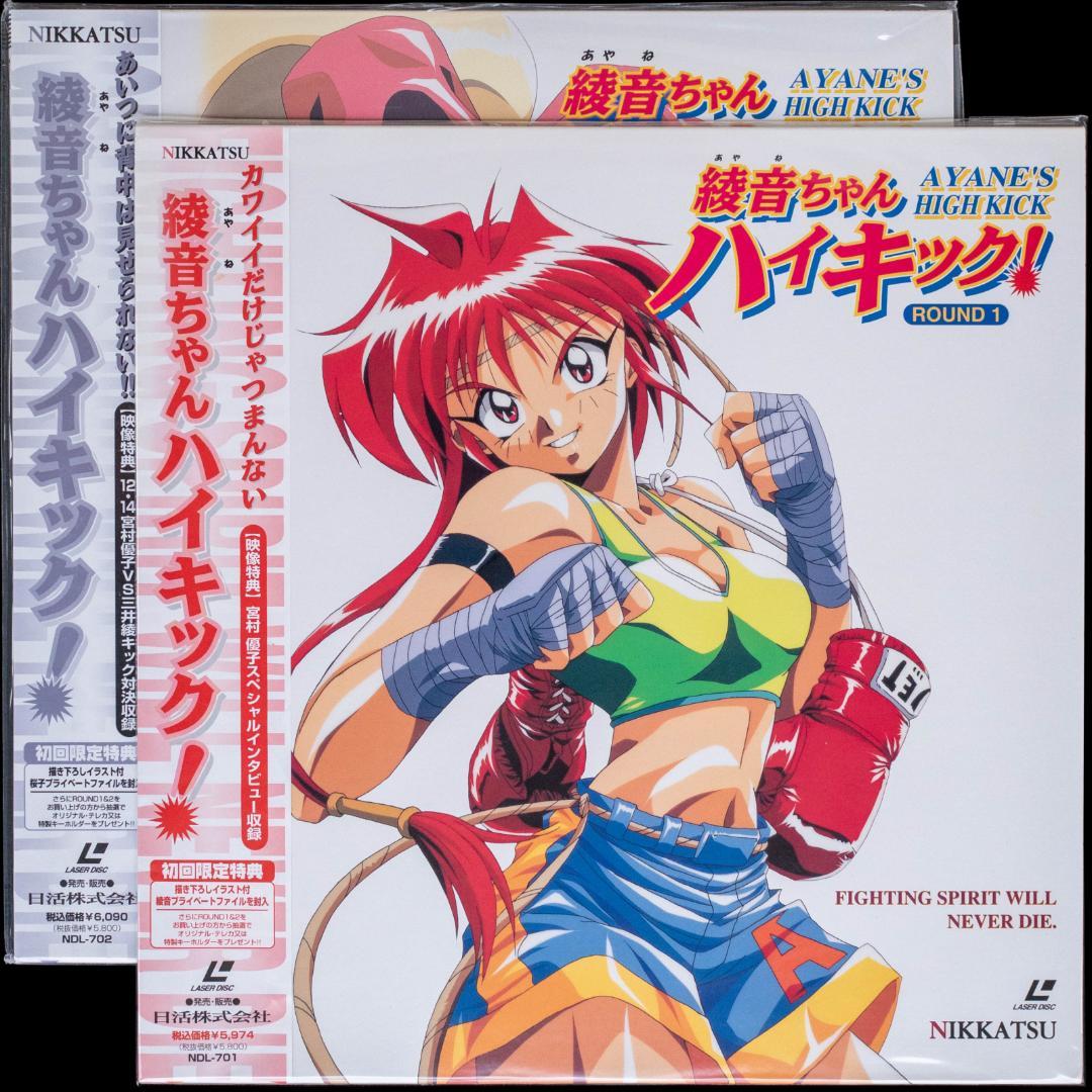 宮村優子 OVA 5作品 LD12枚 関連CD 24枚 セット ぼくのマリー他