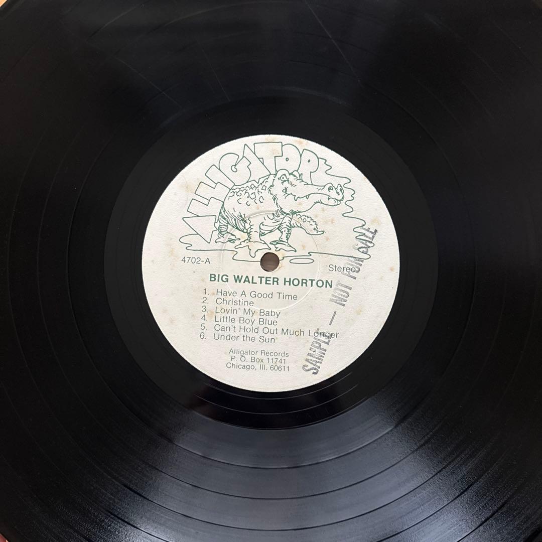 洋楽 Big Walter Horton With Carey Bell