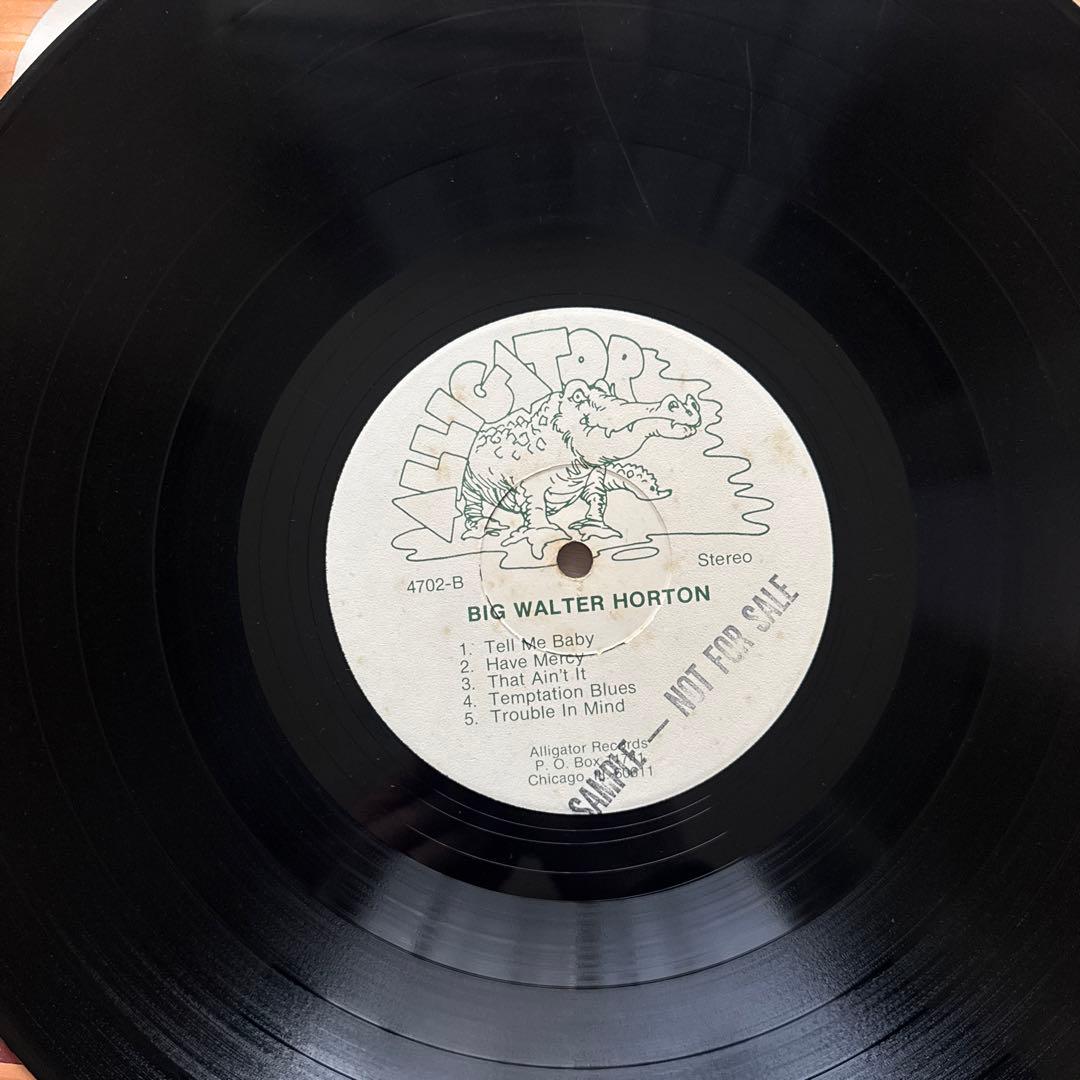 洋楽 Big Walter Horton With Carey Bell