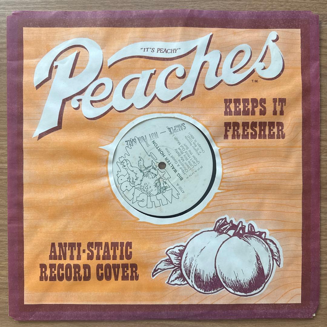 洋楽 Big Walter Horton With Carey Bell