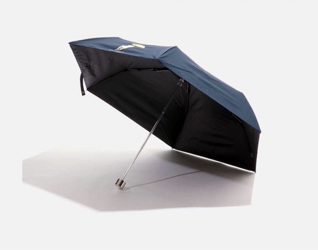 【美品】ミニバッグ付 晴雨兼用 折りたたみ傘 ポロベア ポロ ラルフローレン 紺