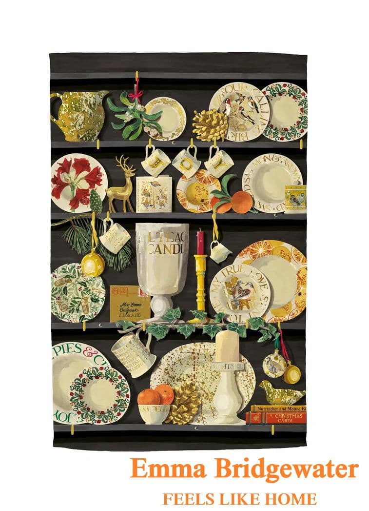 【ピノノ】EBミッドナイトロビンプレート＆クリスマスドレッサーティータオル