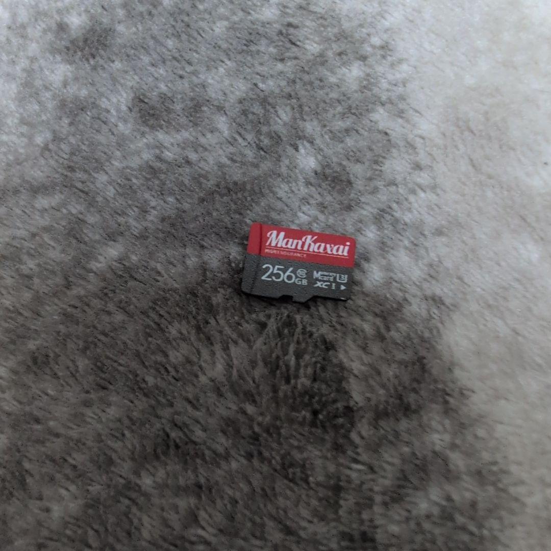 Switch Nintendo Lite ブルー　カバー　SDカード256G付き