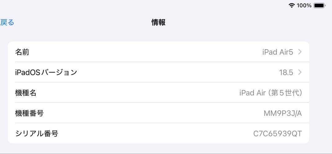 iPadAir 第五世代256GB Apple Pencil第二世代