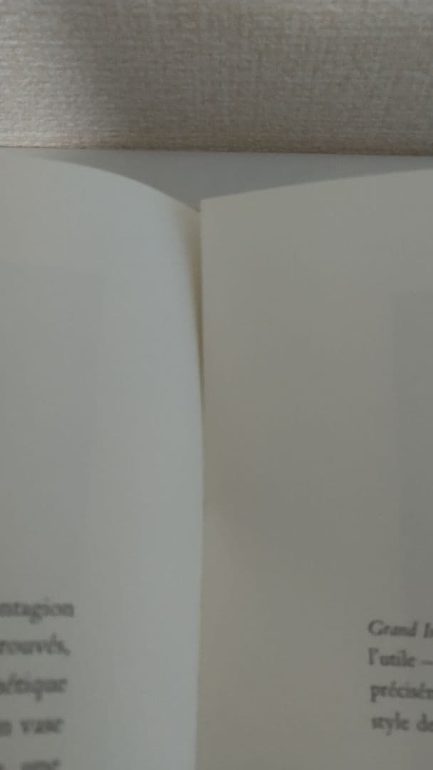 ジャン・ブルッセルマン Jean BRUSSELMANS 画集 全作品目録 洋書