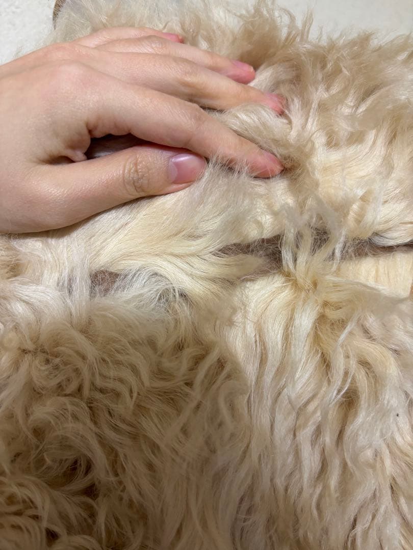 ロデオクラウンズ　rodeo crowne ムートン　毛皮　ベスト　リバーシブル