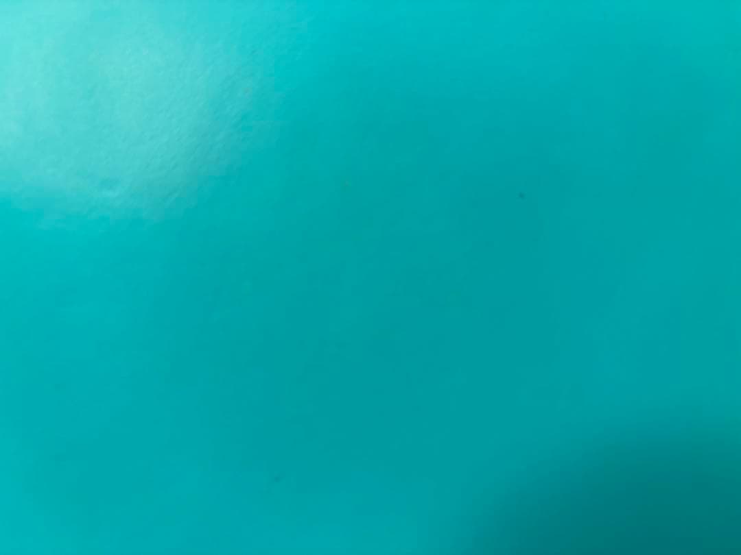 Nintendo Switch Lite ターコイズ 美品