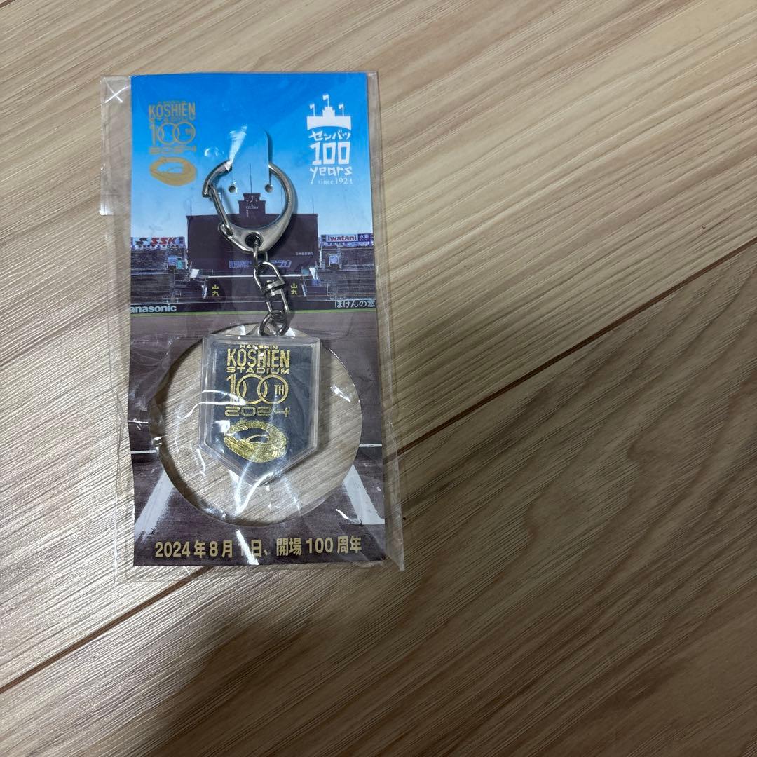 甲子園100周年記念の土