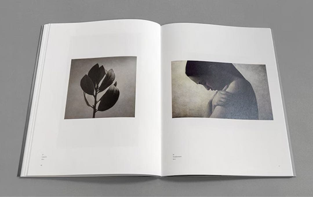 FRUCTUS｜益村千鶴Chizuru Masumura｜署名入｜求龍堂　作品集