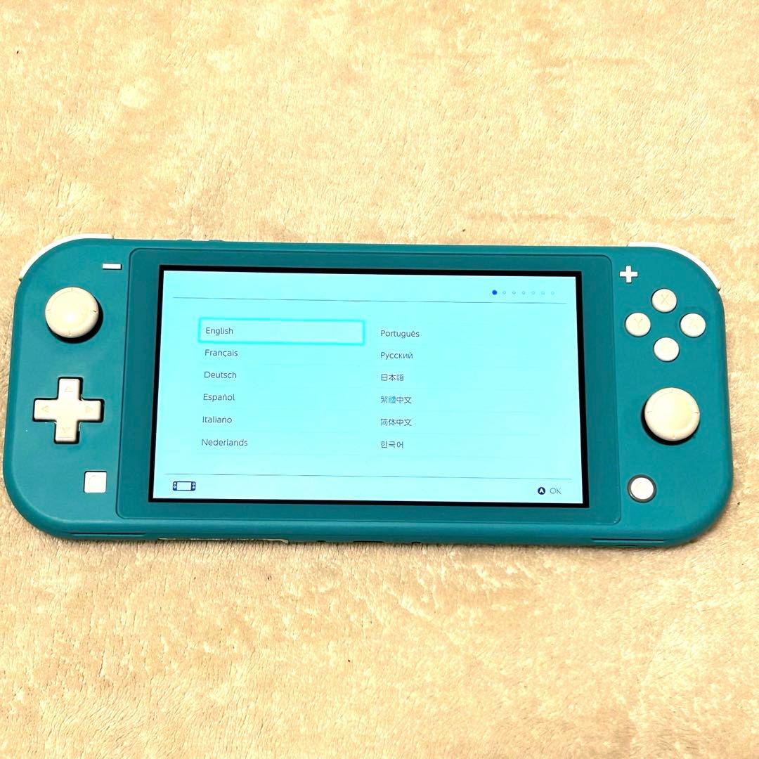 【動作確認済 美品 やや訳アリ】Nintendo Switch Lite 本体