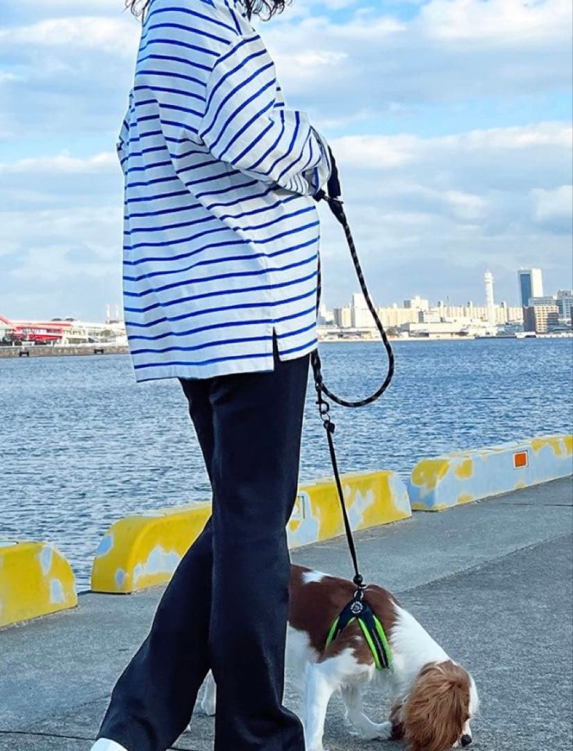 ★新品未使用タグ付★ビースリー ケトレルパンツ ネイビー L B-THREE