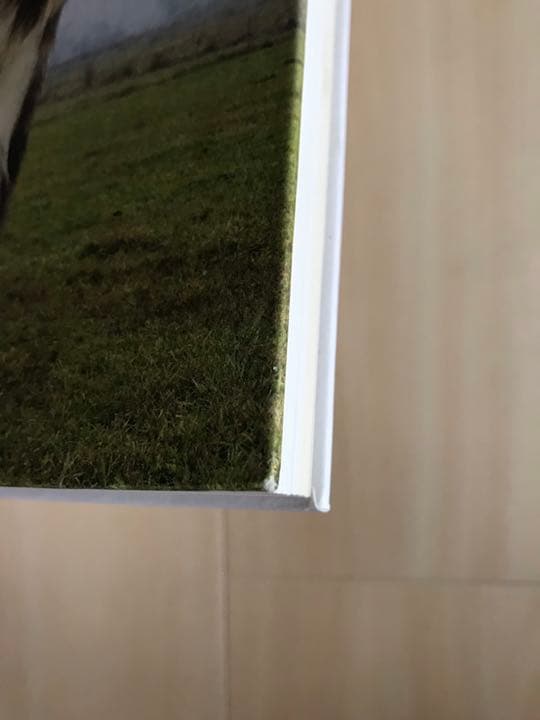 Wilder Mann The Charles Fréger ドイツ語版