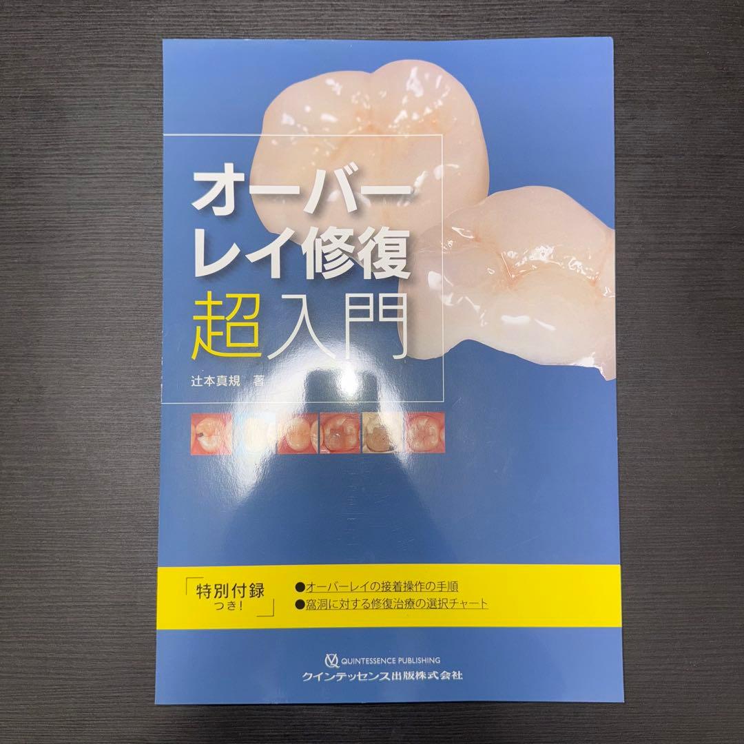 オーバーレイ修復超入門