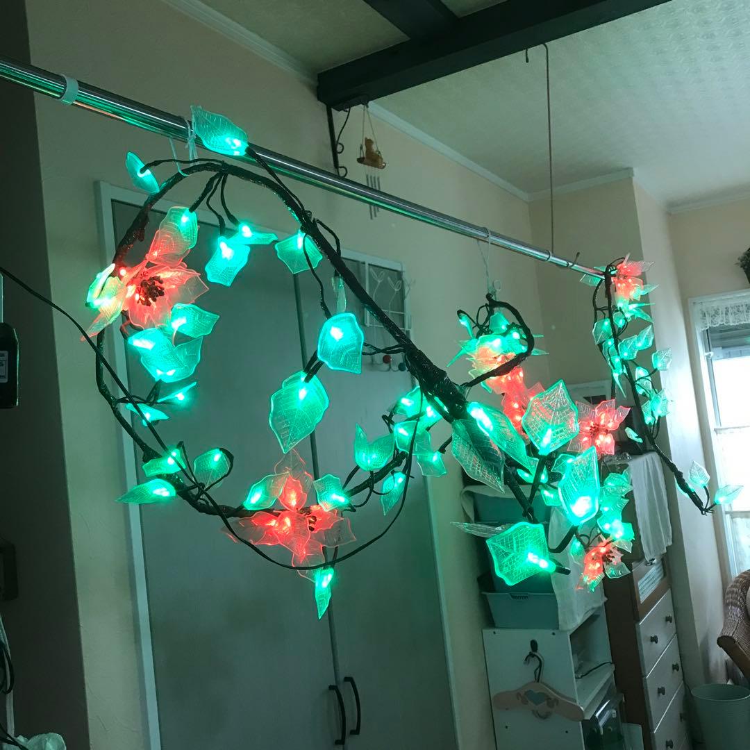 イルミネーションポインセチア