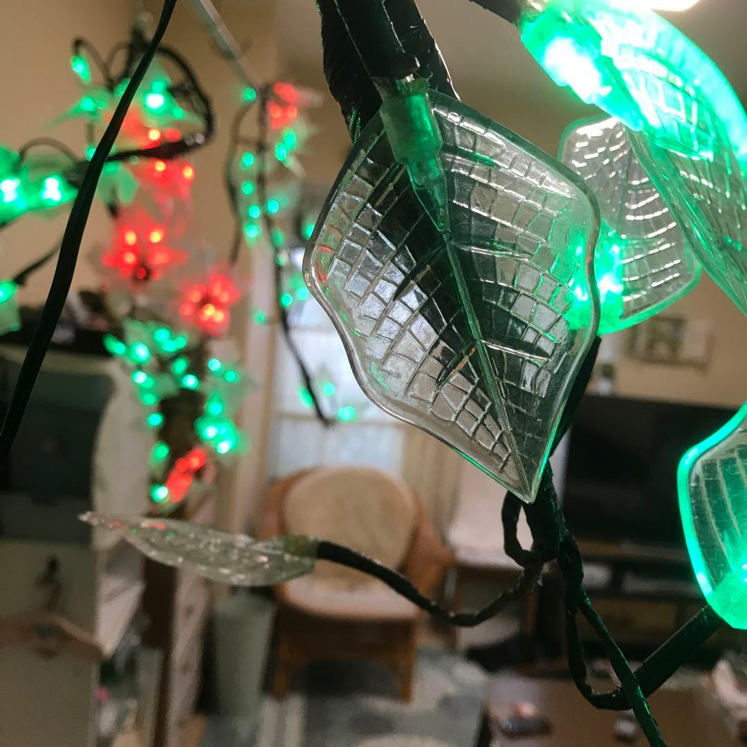 イルミネーションポインセチア