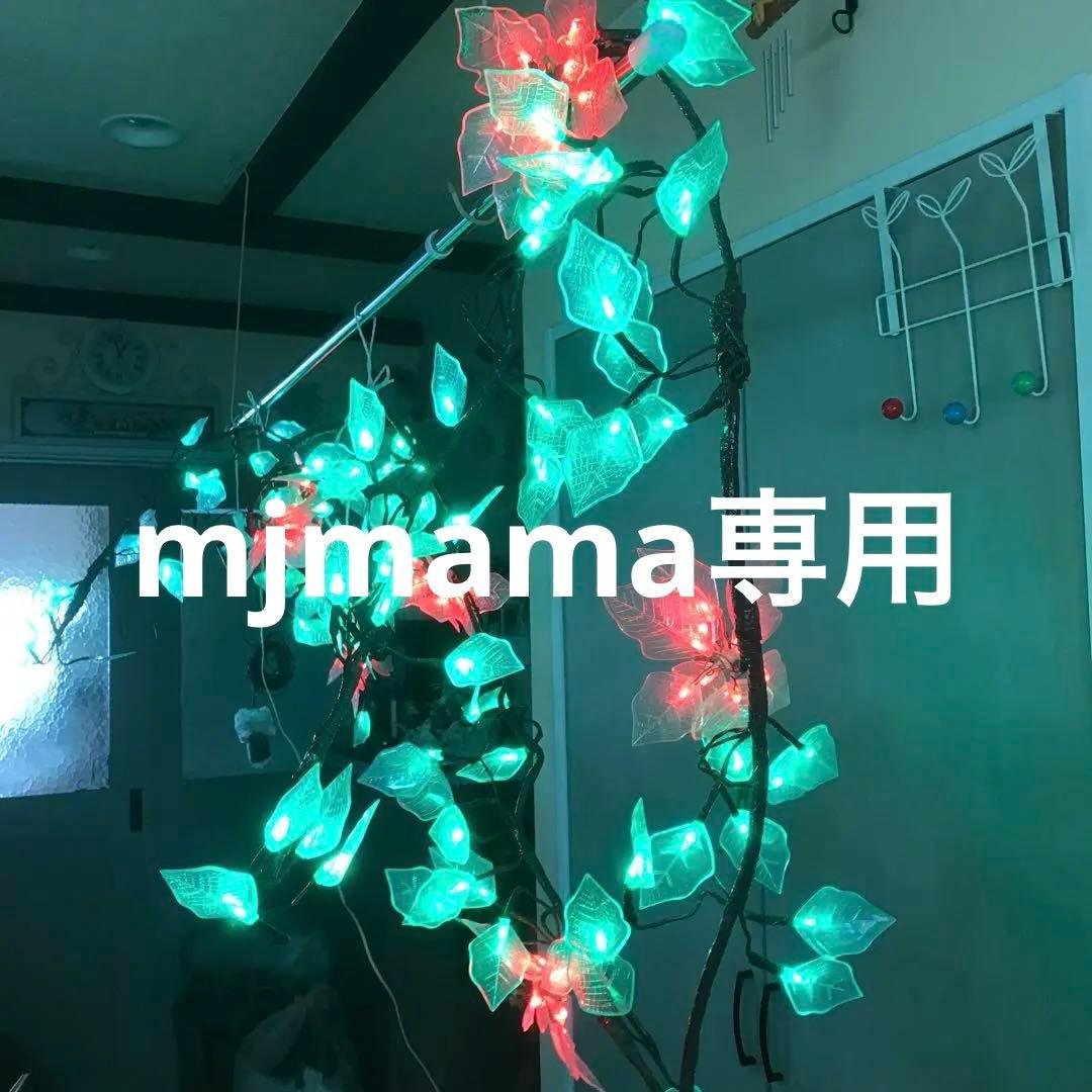 イルミネーションポインセチア