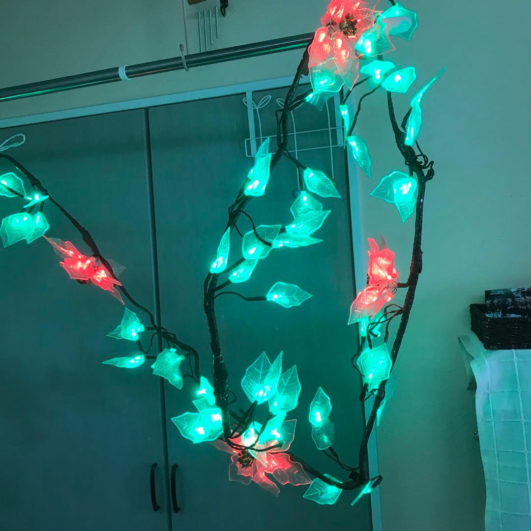 イルミネーションポインセチア