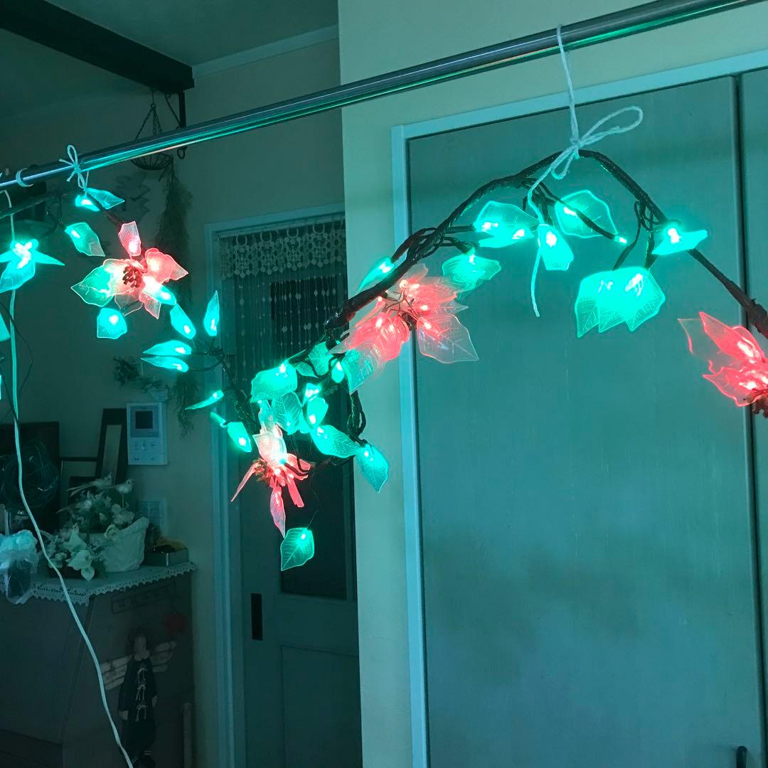 イルミネーションポインセチア