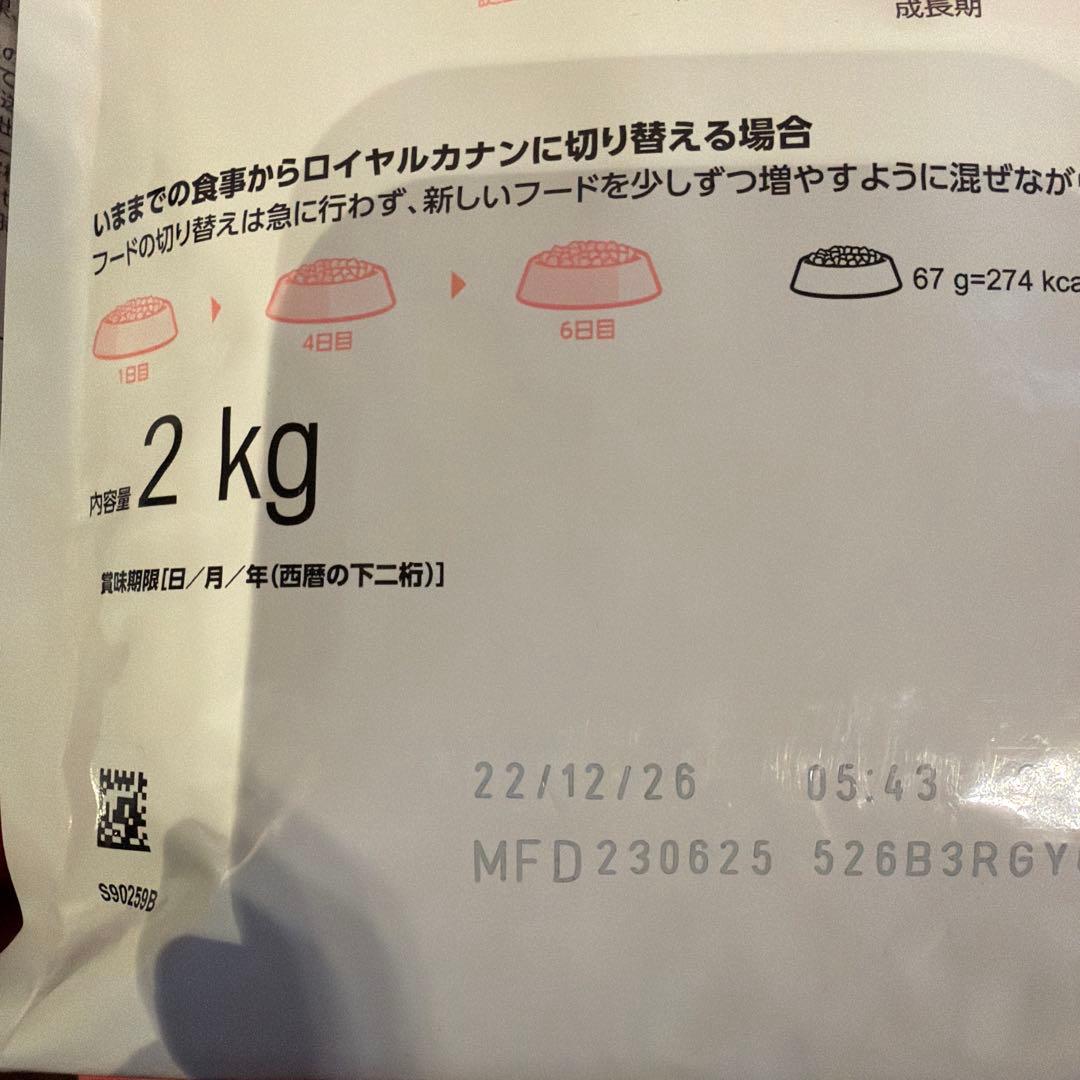  CANIN 成長期の子猫用 2kg 4袋　＋焼ささみフーズ