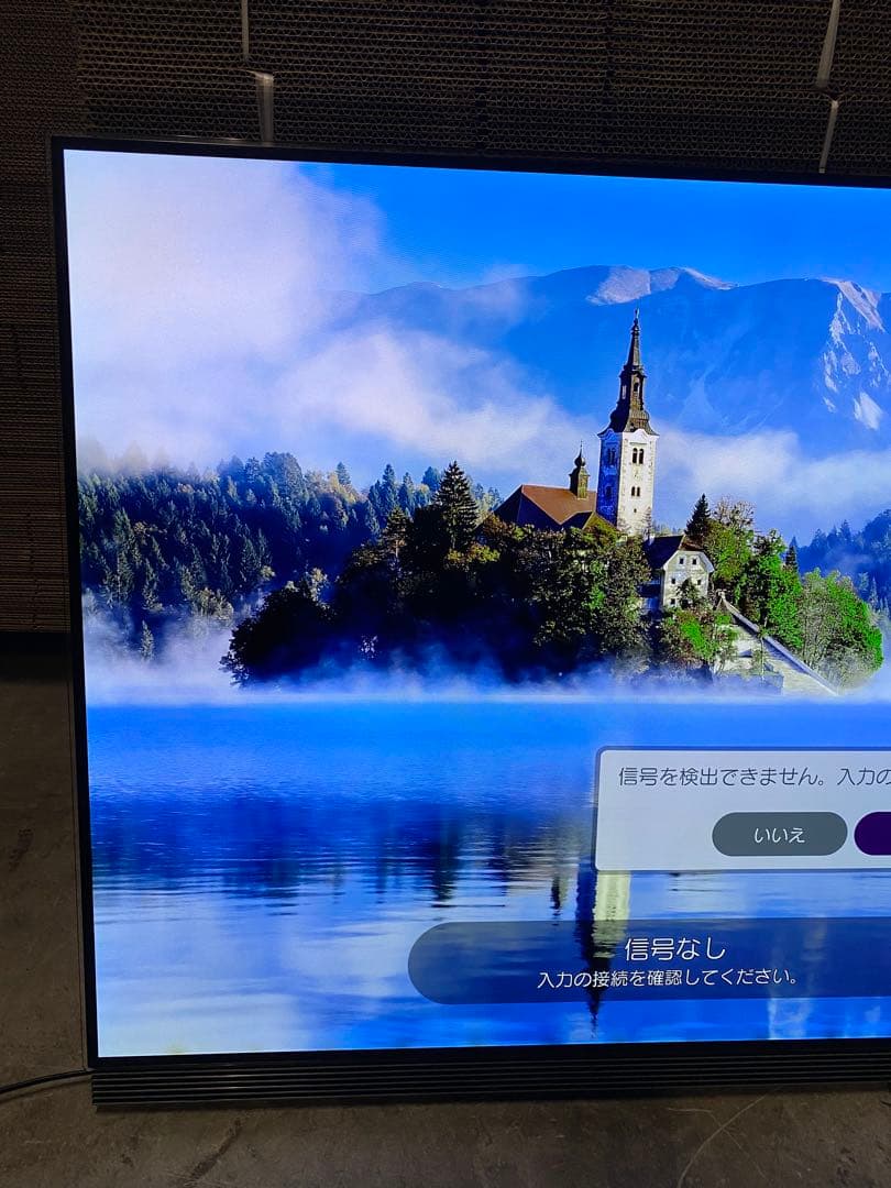 H*i様 LG 定価879,868円 OLED65E7P 65型有機ELテレビ