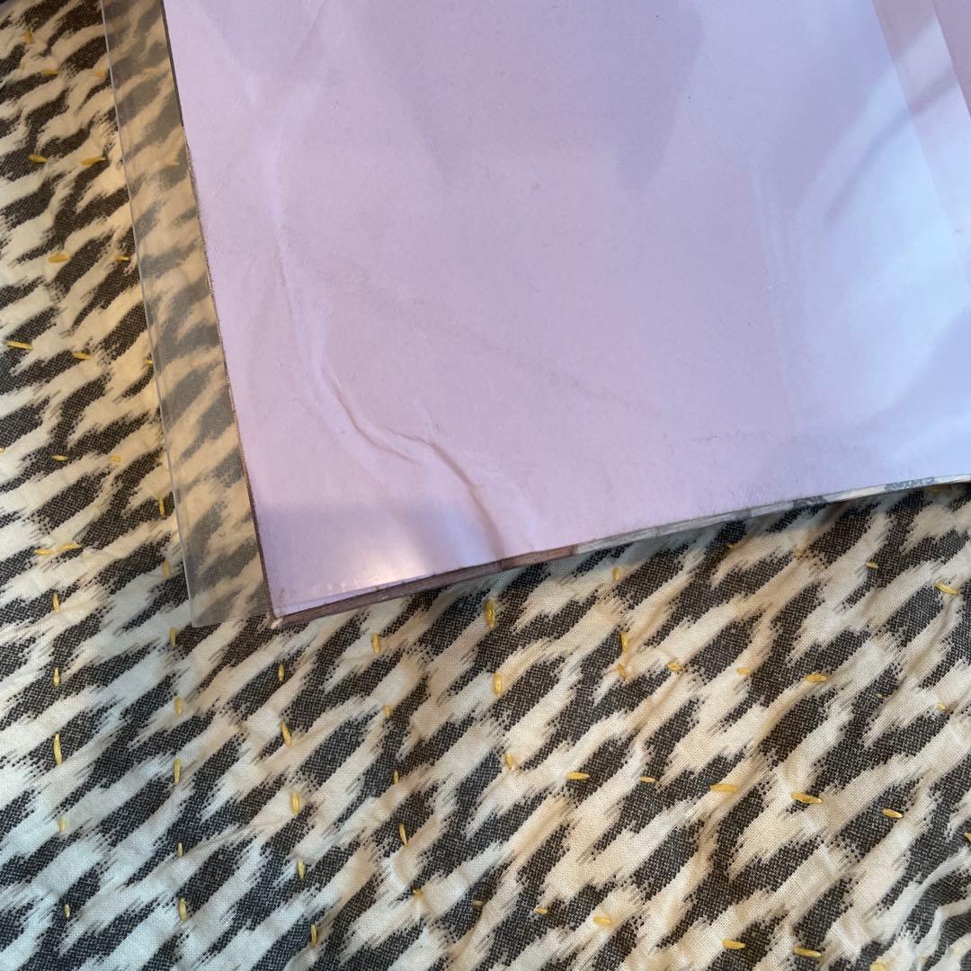 【洋書】パリ 美術館 Sous l'Empire des Crinolines