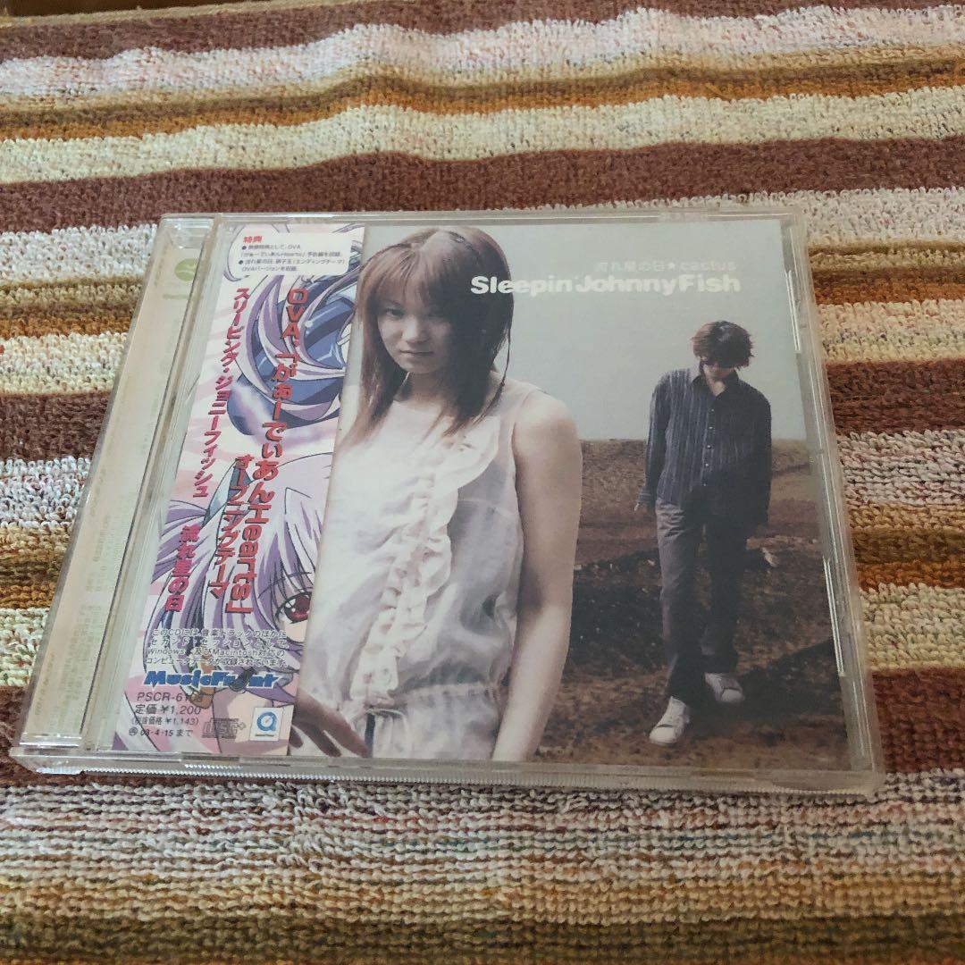 スリーピング・ジョニーフィッシュ/流れ星の日