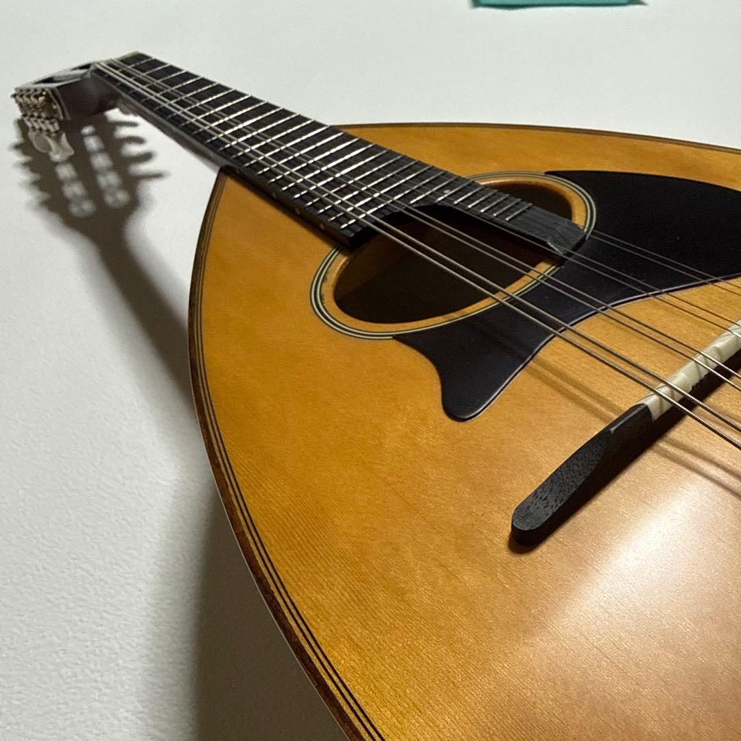 【わたあめ】恵那マンドリン 本体　恵那楽器EM-40 ハードケース付