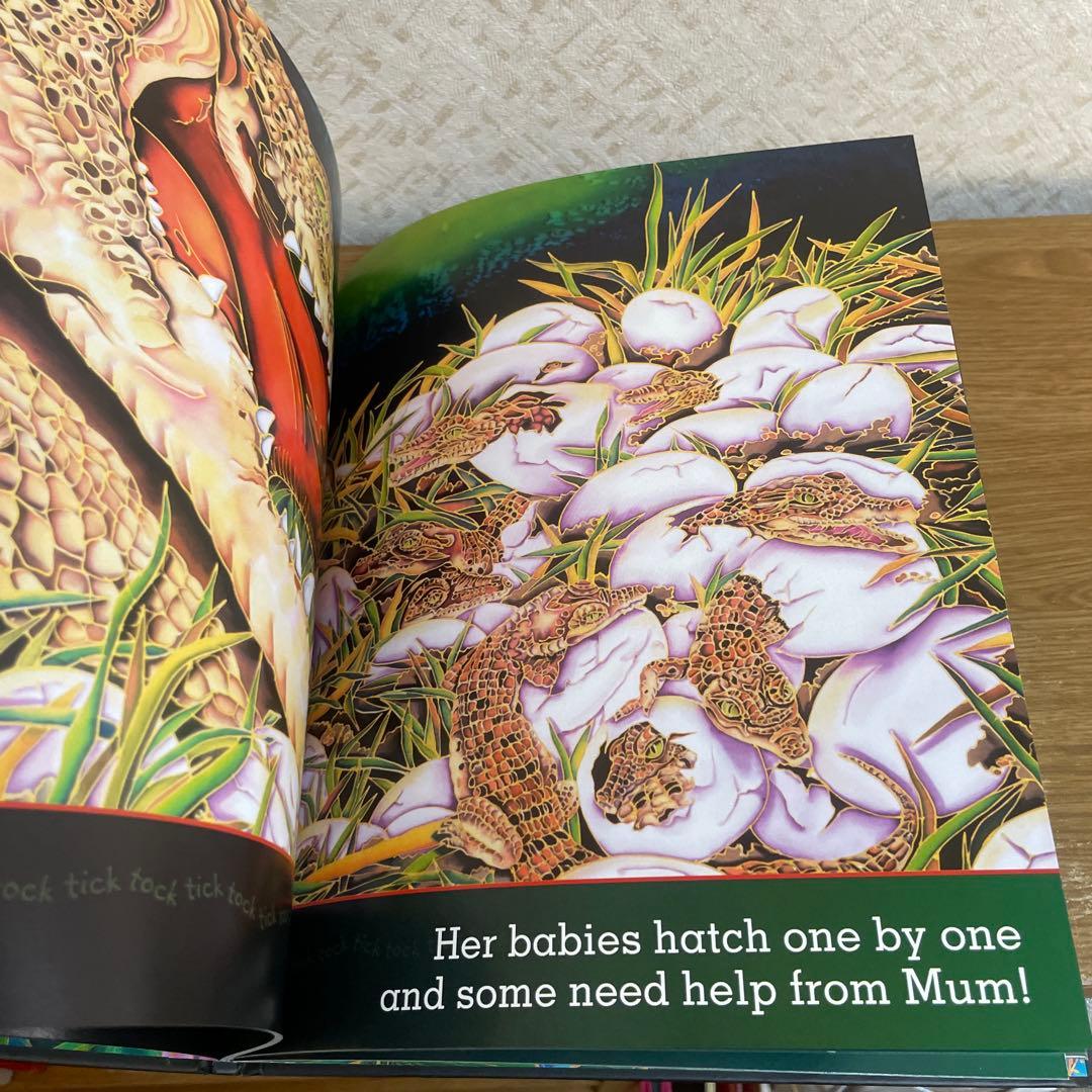 Tick Tock Tick Tock What's Up Croc? 児童書