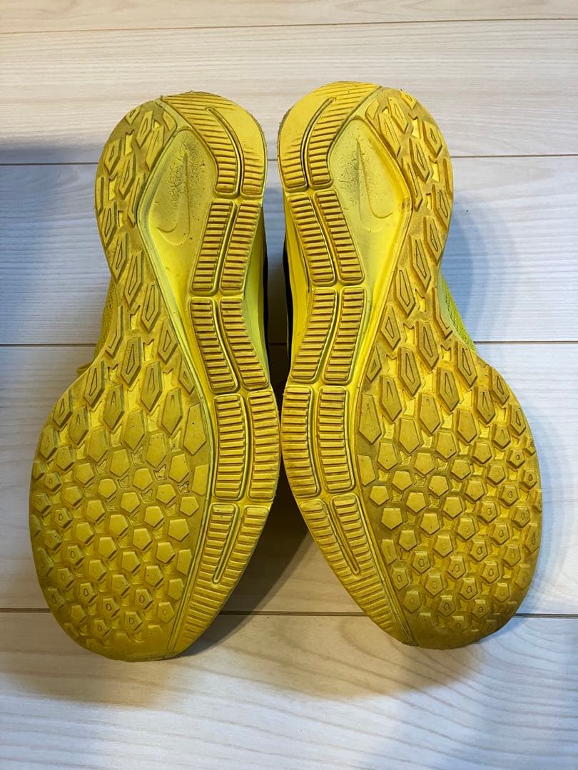 NIKE ペガサス36 コーディハドソン