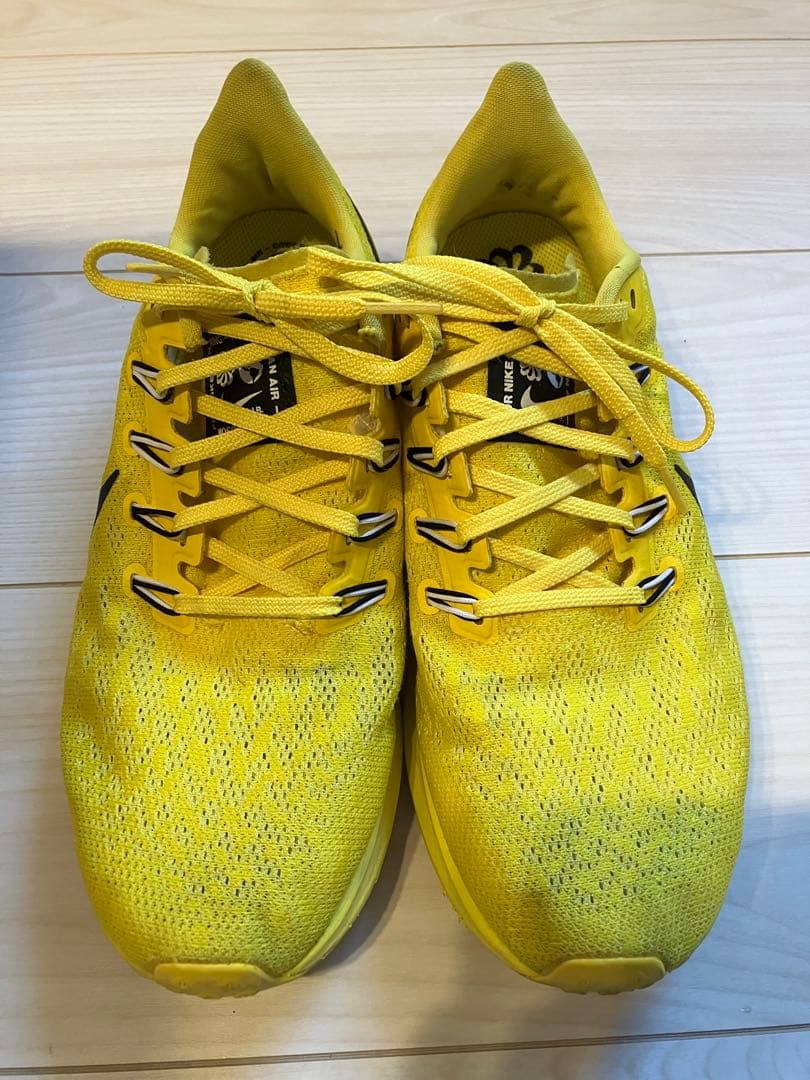 NIKE ペガサス36 コーディハドソン