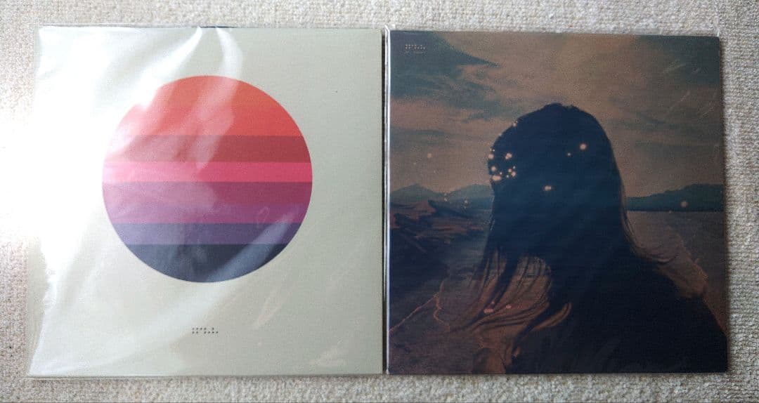 Tycho LPレコード2枚