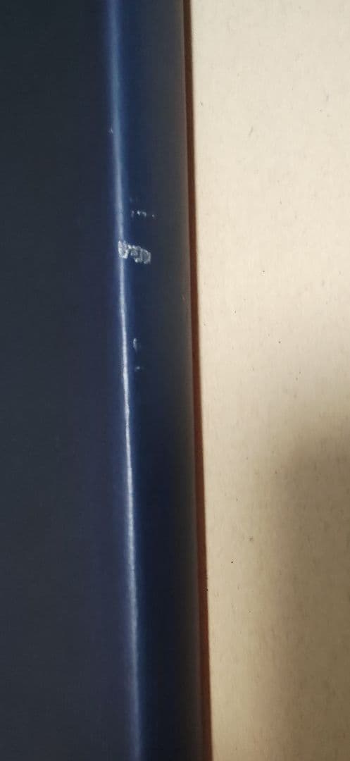 Mark Borthwick Abandom Reverie ＆ zine