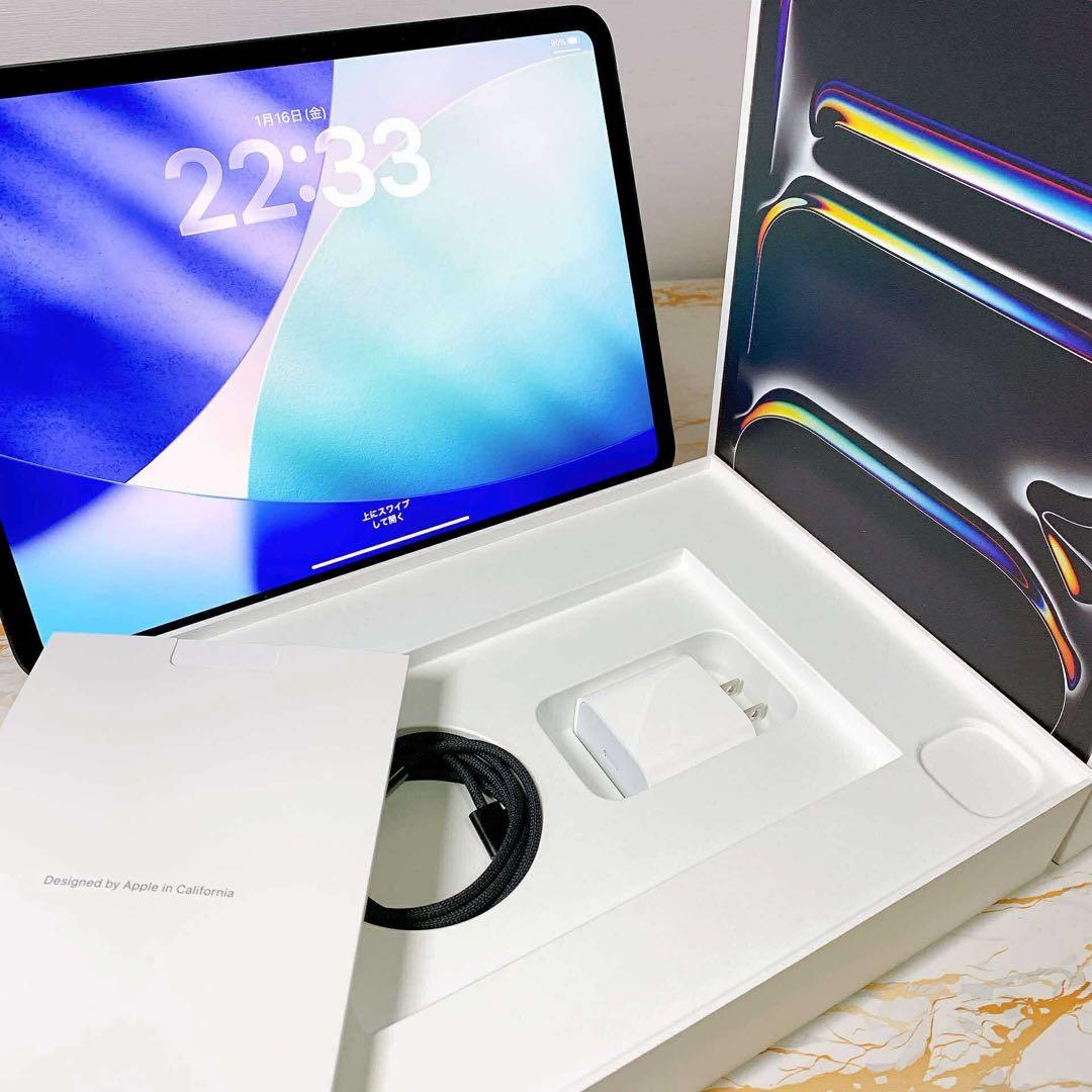 美品iPad Pro 11インチ M5 256GB BT100%充電回数14回