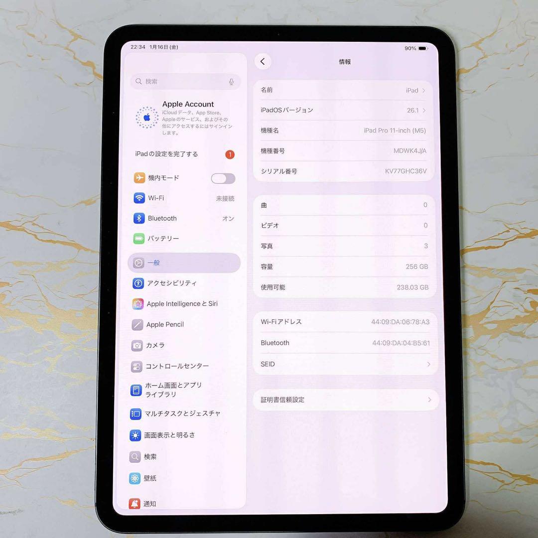 美品iPad Pro 11インチ M5 256GB BT100%充電回数14回