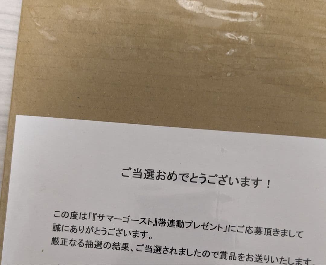 サマーゴースト loundraw 監督 直筆サイン入り クリアファイル