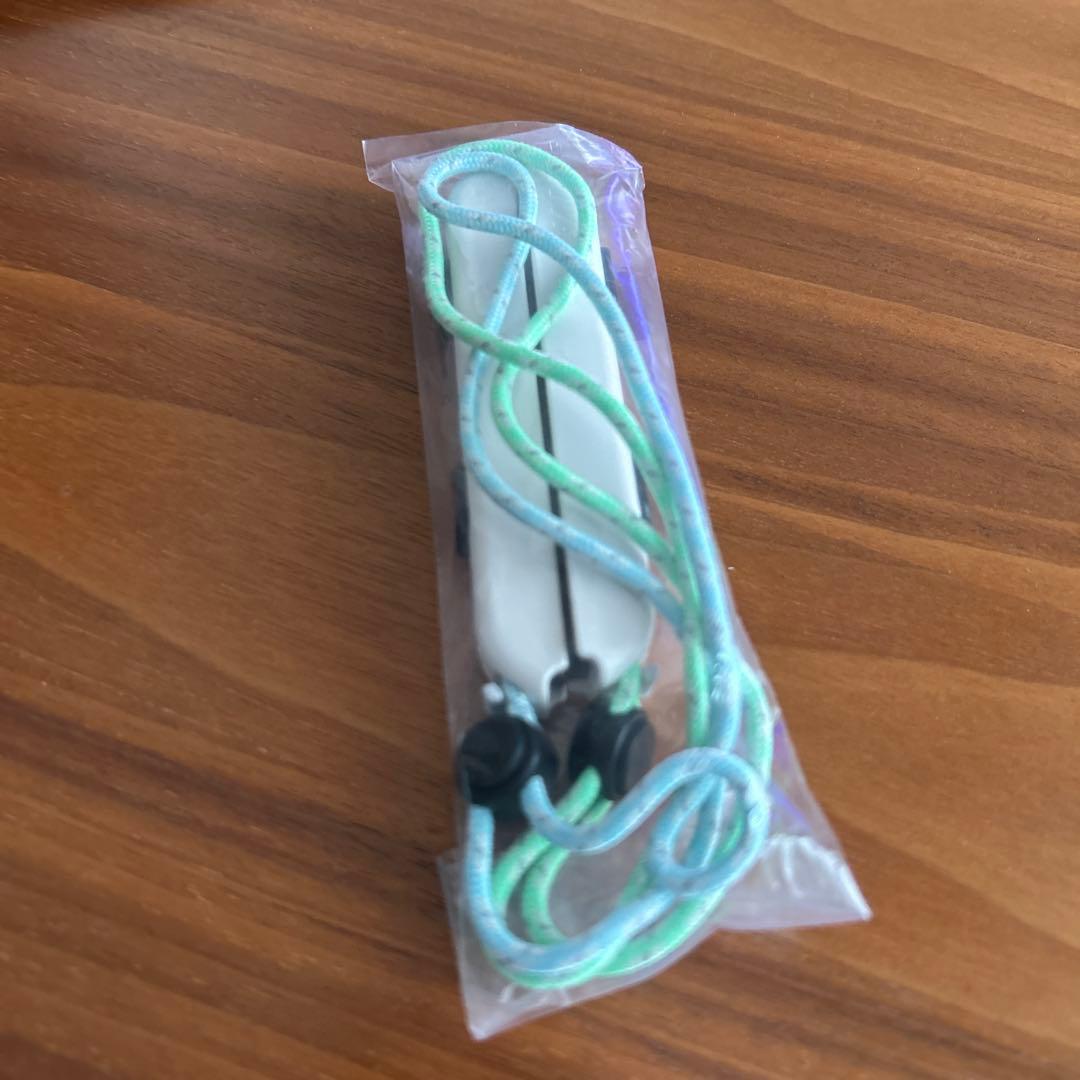 送料込・美品　Nintendo Switch あつまれ どうぶつの森エディション