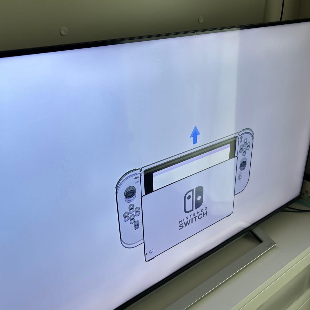 送料込・美品　Nintendo Switch あつまれ どうぶつの森エディション