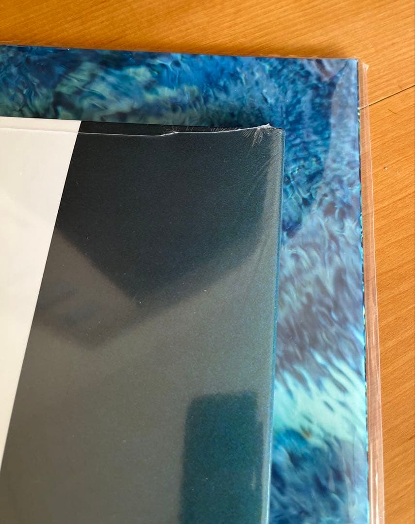 新品未使用 青葉市子 アダンの風 Luminescent Creatures