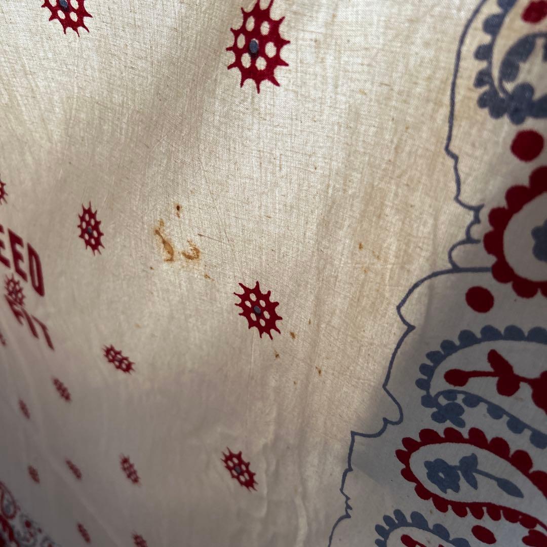 BLUE BLUE ペイズリー柄　レア　壁掛け　タペストリー大判　HRM サラサ