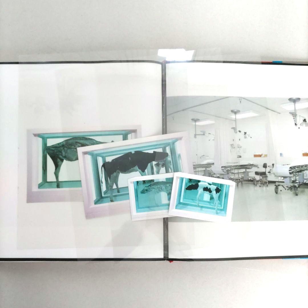 Damien Hirst/ダミアン・ハースト アート作品集