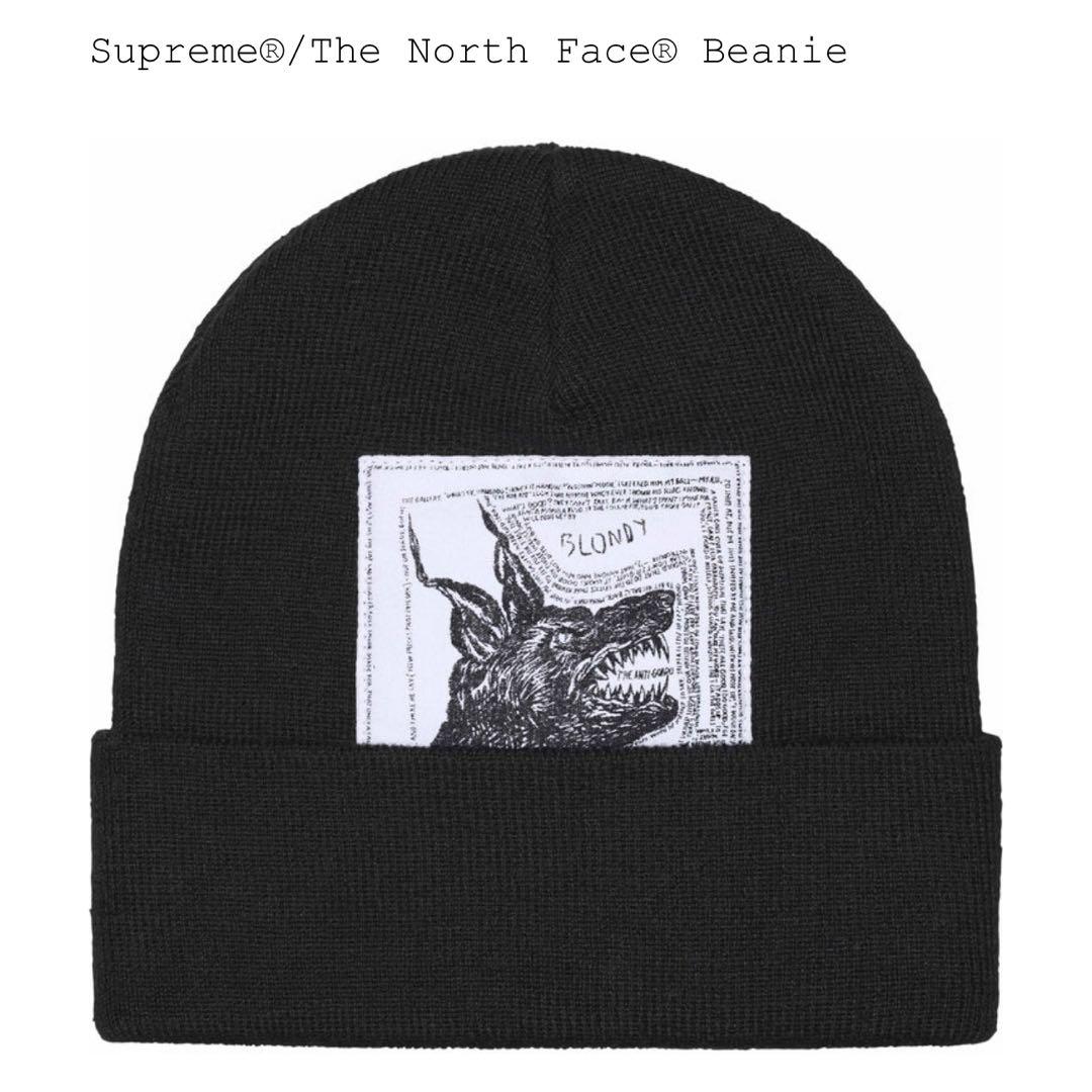 Supreme／The North Face Beanie