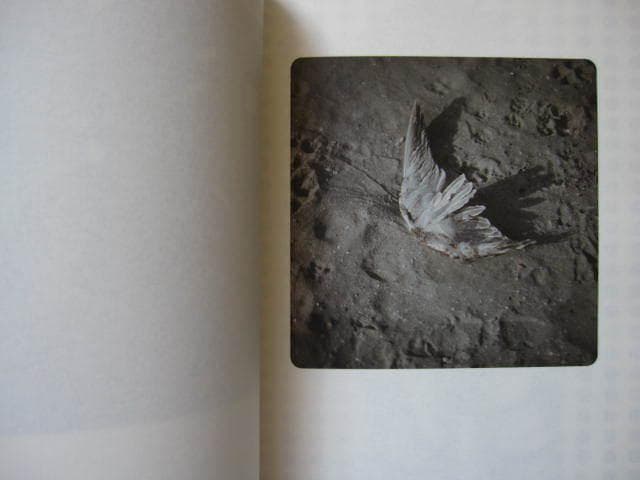 THE AFRONAUTS - SECOND EDITION　直筆サイン入り