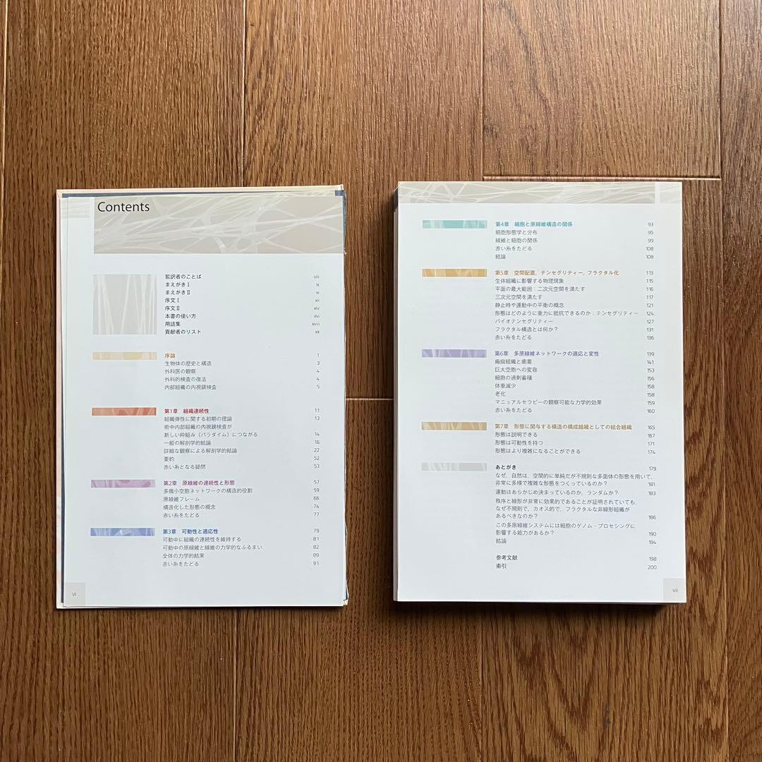 人の生きた筋膜の構造〈裁断済み〉