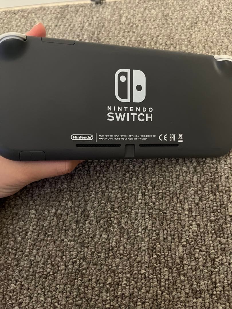 Nintendo Switch Lite 本体、充電器、ケース付き