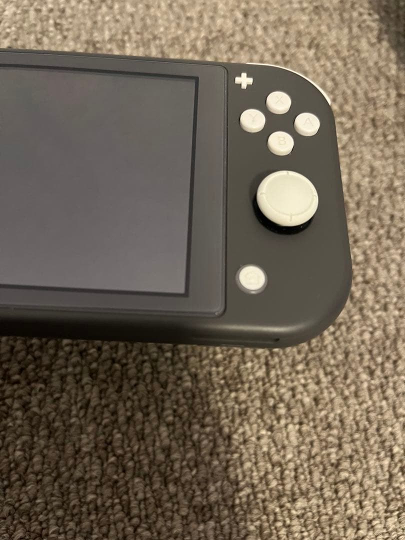 Nintendo Switch Lite 本体、充電器、ケース付き